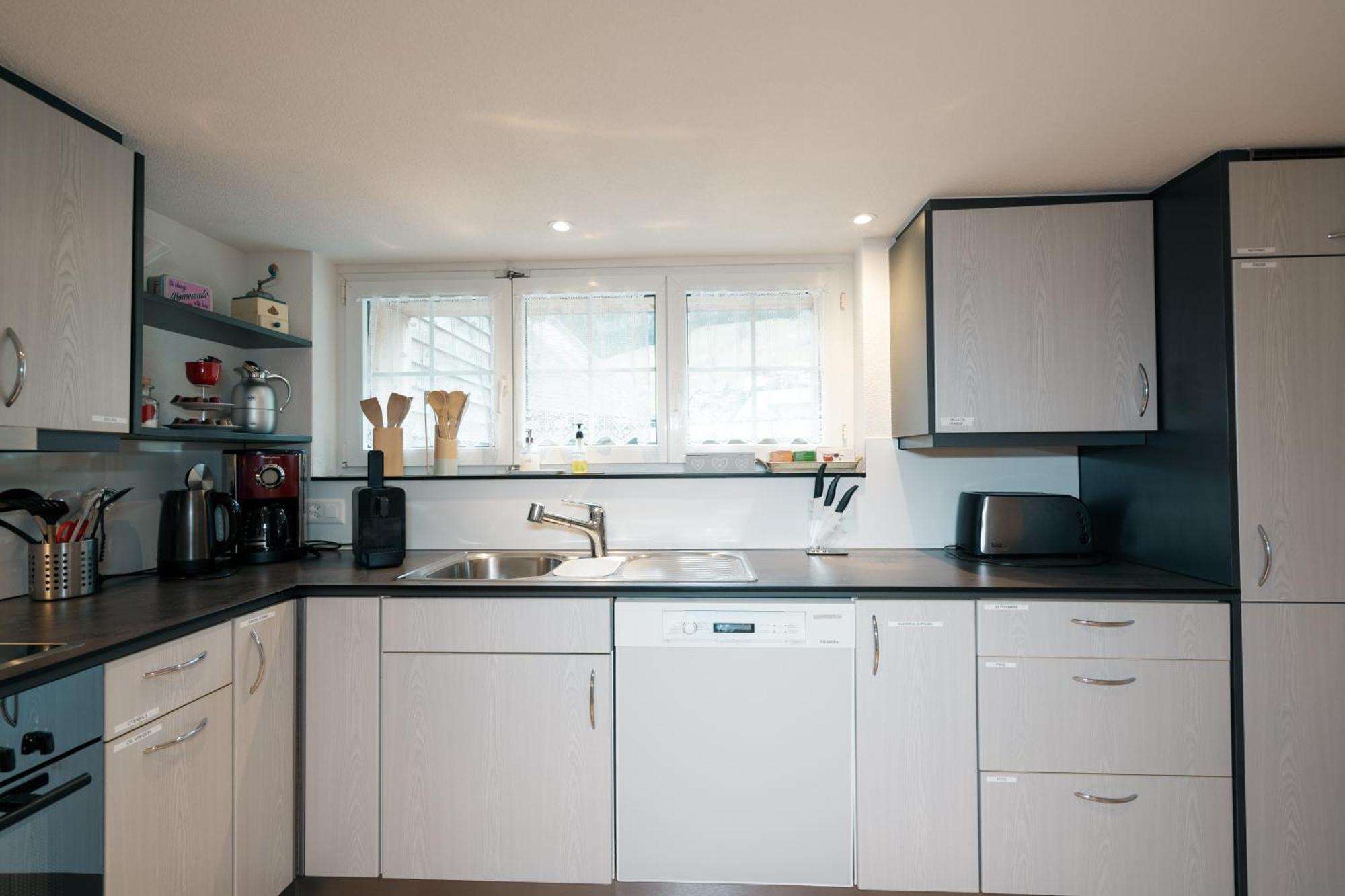 Large Apartment 8Beds Great For Family And Friends, Mountain View Amden Eksteriør bilde