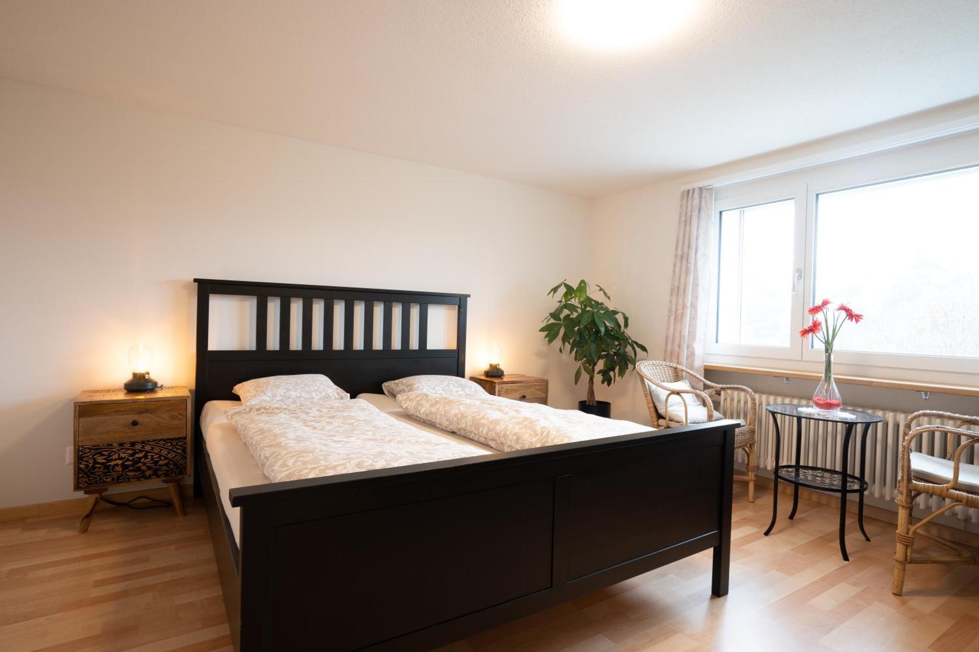 Large Apartment 8Beds Great For Family And Friends, Mountain View Amden Eksteriør bilde
